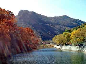 新澳天天开好彩大全，十指纤纤做村妇